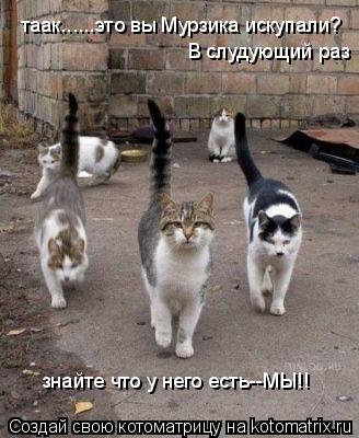 Котоматрица: таак......это вы Мурзика искупали?  В слудующий раз   знайте что у него есть--МЫ!!