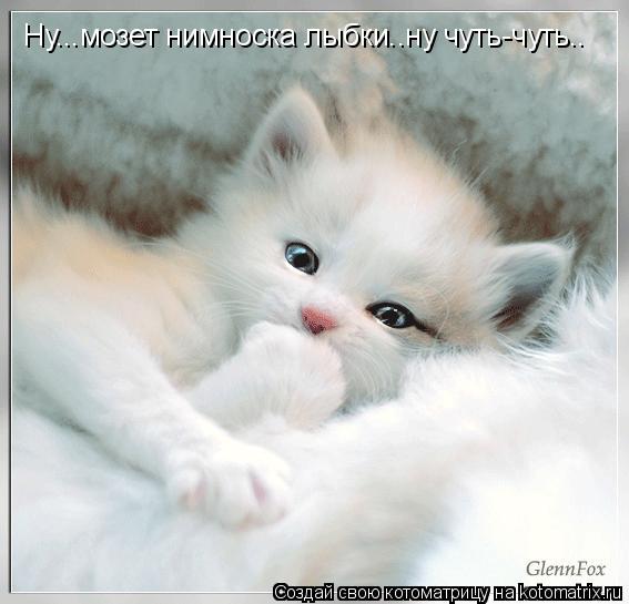Ну...мозет нимноска лыбки..ну чуть-чуть..... Котоматрица: Ну...мозет нимноска лыбки..ну чуть-чуть..