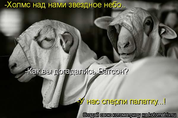 Котоматрица: -Холмс над нами звездное небо.. -Как вы догадались Ватсон? -У нас сперли палатку...!