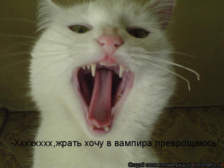 Котоматрица: -Хххххххх,жрать хочу в вампира преврощаюсь!