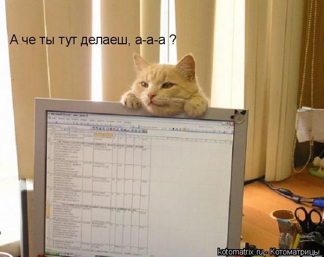 Котоматрица: А че ты тут делаеш, а-а-а ?