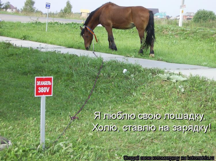 Я люблю свою лошадку, Холю, ставлю на зарядку!... Котоматрица: Я люблю свою лошадку, Холю, ставлю на зарядку!