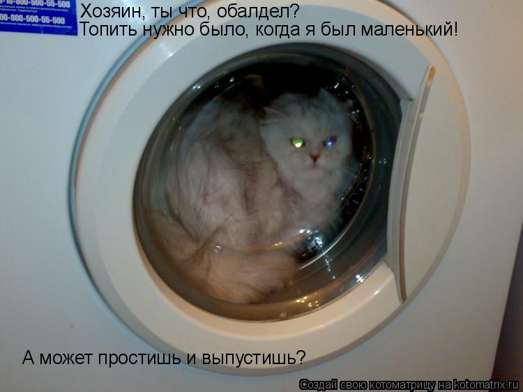 Котоматрица: Хозяин, ты что, обалдел? Топить нужно было, когда я был маленький! А может простишь и выпустишь?