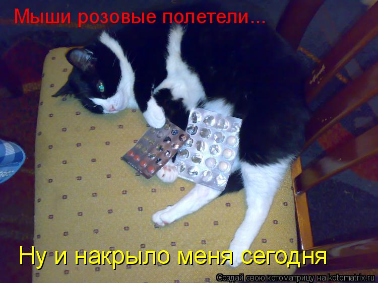 Котоматрица: Мыши розовые полетели... Ну и накрыло меня сегодня