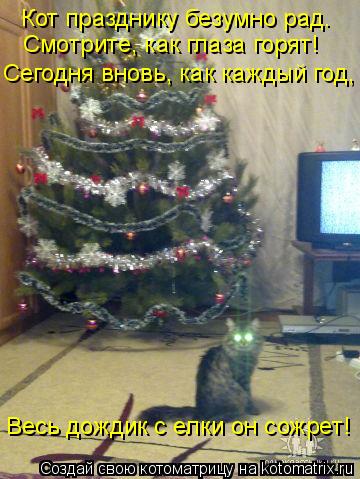 Котоматрица: Кот празднику безумно рад. Смотрите, как глаза горят! Сегодня вновь, как каждый год, Весь дождик с елки он сожрет!