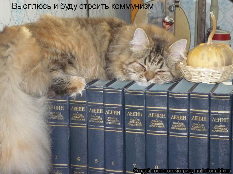 Котоматрица: Высплюсь и буду строить коммунизм