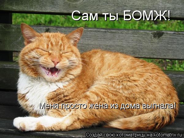 Котоматрица: Сам ты БОМЖ! Меня просто жена из дома выгнала!