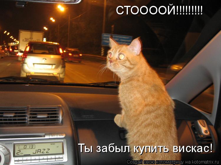 Котоматрица: СТООООЙ!!!!!!!!! Ты забыл купить вискас!