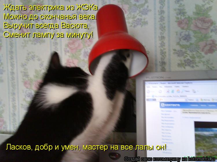 Ждать электрика из ЖЭКа Можно до скончанья века. Выручит всегда Васюта, Сменит лампу за минуту! Ласко... Котоматрица: Ждать электрика из ЖЭКа Можно до скончанья века. Выручит всегда Васюта, Сменит лампу за минуту! Ласков, добр и умен, мастер на все лапы он!