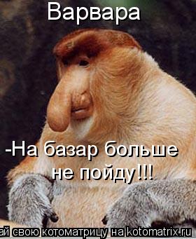 Варвара -На базар больше не пойду!!!... Котоматрица: Варвара -На базар больше не пойду!!!