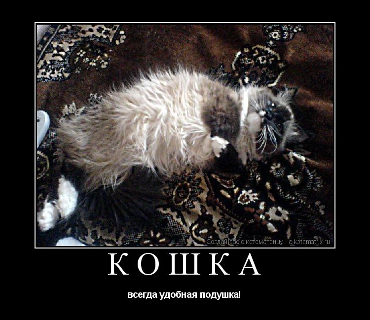 Котоматрица: КоШкА всегда удобная подушка!
