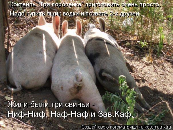 Котоматрица: Коктейль "Три поросенка" приготовить очень просто.  Hадо купить ящик водки и позвать 2-х друзей...