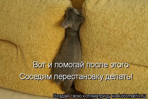 Котоматрица: Вот и помогай после этого Соседям перестановку делать!