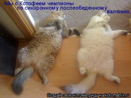 -Мы с Котофеем чемпионы по синхронному послеобеденному валянию.... Котоматрица: -Мы с Котофеем чемпионы по синхронному послеобеденному валянию.