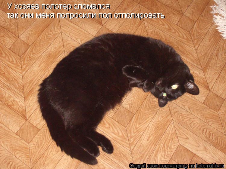 У хозяев полотер сломался так они меня попросили пол отполировать... Котоматрица: У хозяев полотер сломался так они меня попросили пол отполировать