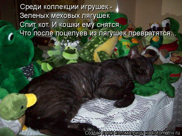 Среди коллекции игрушек - Зеленых меховых лягушек Спит кот. И кошки ему снятся, Что после поцелуев и... Котоматрица: Среди коллекции игрушек - Зеленых меховых лягушек Спит кот. И кошки ему снятся, Что после поцелуев из лягушек превратятся...