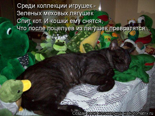 Котоматрица: Среди коллекции игрушек -  Зеленых меховых лягушек Спит кот. И кошки ему снятся, Что после поцелуев из лягушек превратятся...