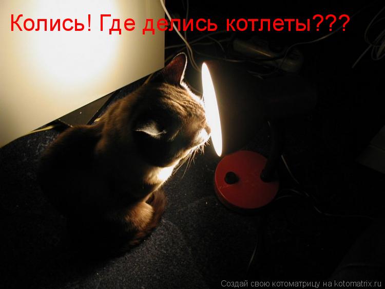 Котоматрица: Колись! Где делись котлеты???