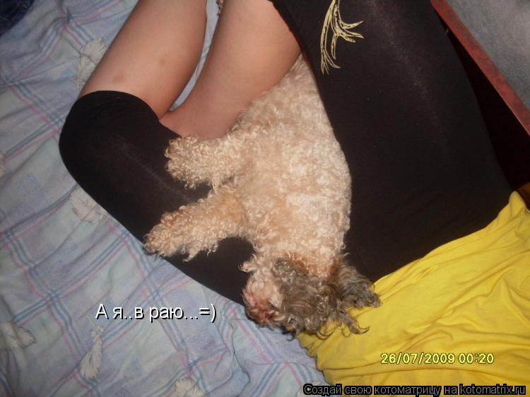 Котоматрица: А я..в раю...=)