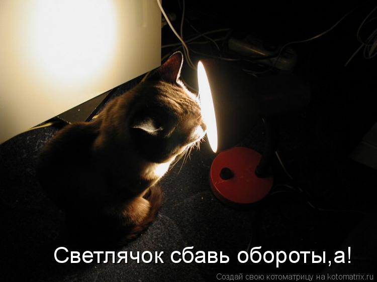 Светлячок сбавь обороты,а!... Котоматрица: Светлячок сбавь обороты,а!
