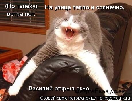 Котоматрица: (По телеку) На улице тепло и солнечно , ветра нет. Василий открыл окно...