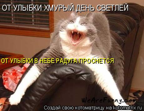Котоматрица: ОТ УЛЫБКИ ХМУРЫЙ ДЕНЬ СВЕТЛЕЙ ОТ УЛЫБКИ В НЕБЕ РАДУГА ПРОСНЕТСЯ
