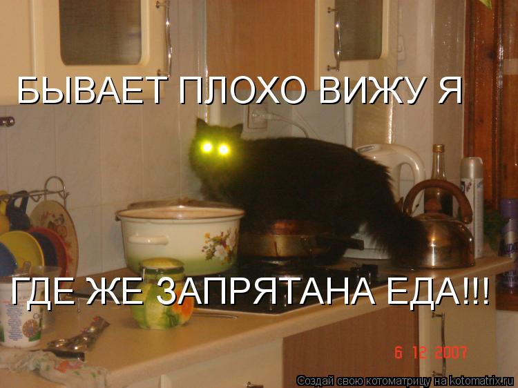 Котоматрица: БЫВАЕТ ПЛОХО ВИЖУ Я ГДЕ ЖЕ ЗАПРЯТАНА ЕДА!!!