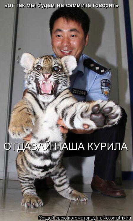Котоматрица: вот так мы будем на саммите говорить ОТДАВАЙ НАША КУРИЛА