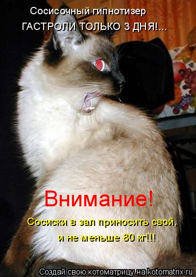 Котоматрица: Сосисочный гипнотизер  ГАСТРОЛИ ТОЛЬКО 3 ДНЯ!... Внимание!  Сосиски в зал приносить свой,  и не меньше 80 кг!!!