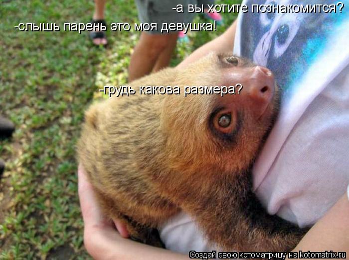 Котоматрица: -грудь какова размера? -а вы хотите познакомится? -слышь парень это моя девушка!