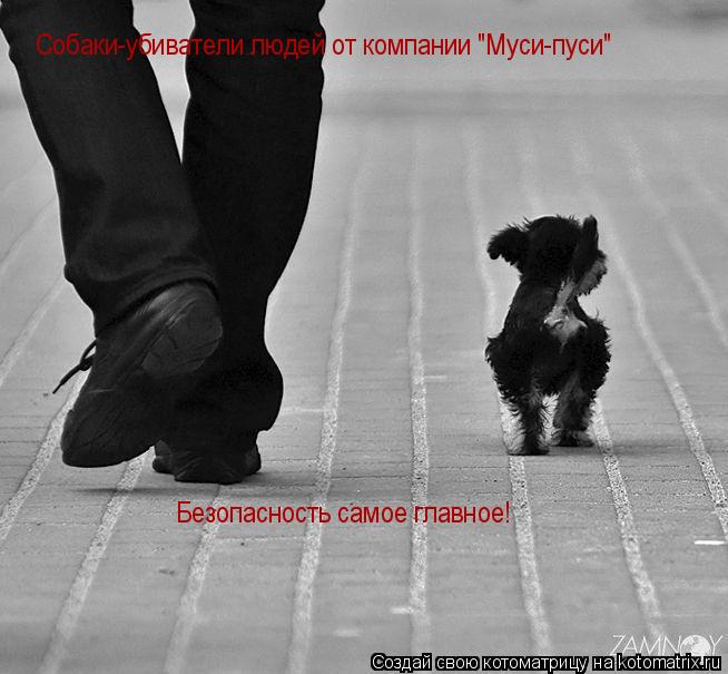 Котоматрица: Безопасность самое главное! Собаки-убиватели людей от компании "Муси-пуси"