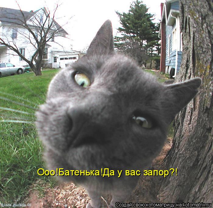 Котоматрица: Ооо!Батенька!Да у вас запор?!