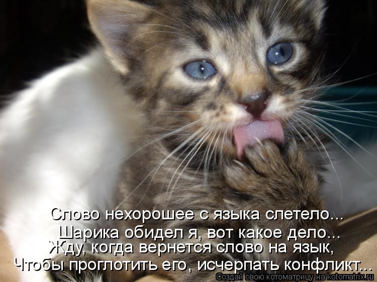 Слово нехорошее с языка слетело... Шарика обидел я, вот какое дело... Жду, когда вернется слово на яз... Котоматрица: Слово нехорошее с языка слетело... Шарика обидел я, вот какое дело... Жду, когда вернется слово на язык, Чтобы проглотить его, исчерпать конфли