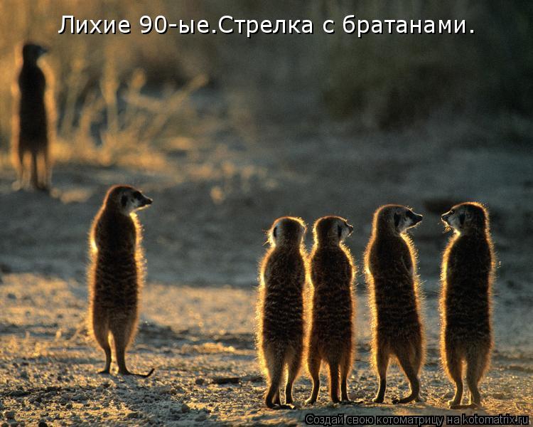 Котоматрица: Лихие 90-ые.Стрелка с братанами.