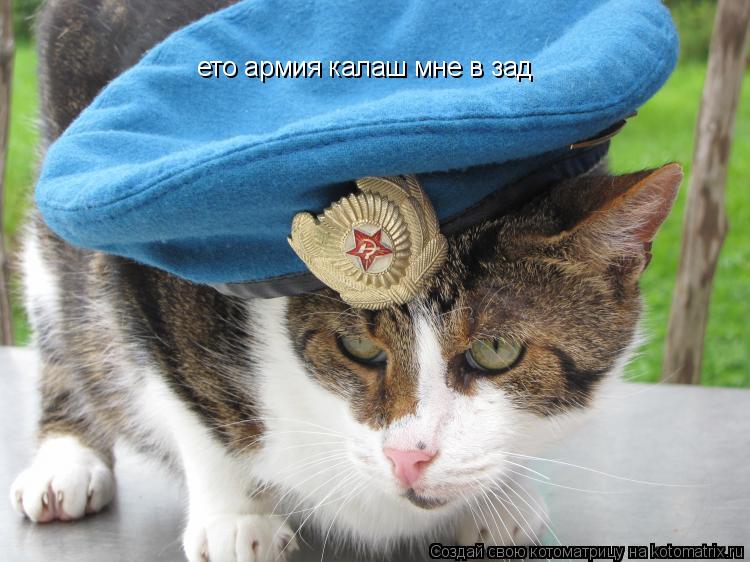 Котоматрица: ето армия калаш мне в зад