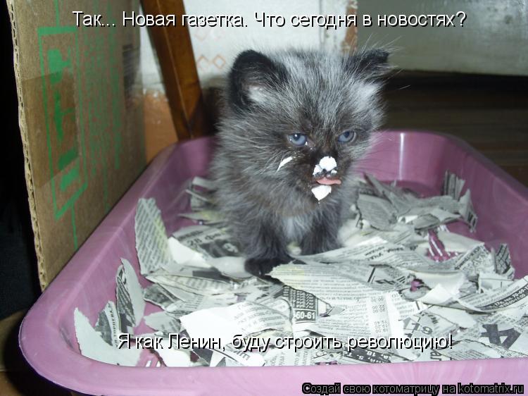 Котоматрица: Так... Новая газетка. Что сегодня в новостях? Я как Ленин, буду строить революцию!
