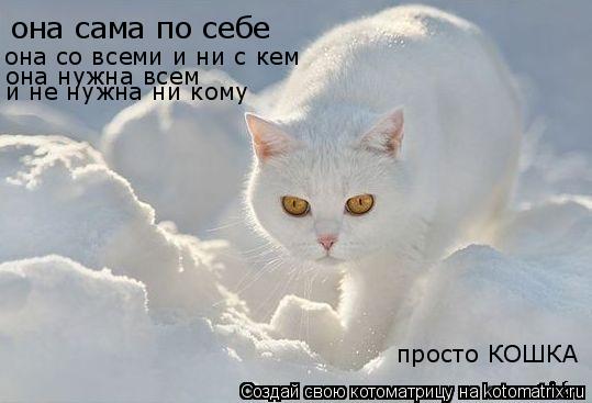 Котоматрица: она сама по себе  она со всеми и ни с кем она нужна всем  и не нужна ни кому просто КОШКА