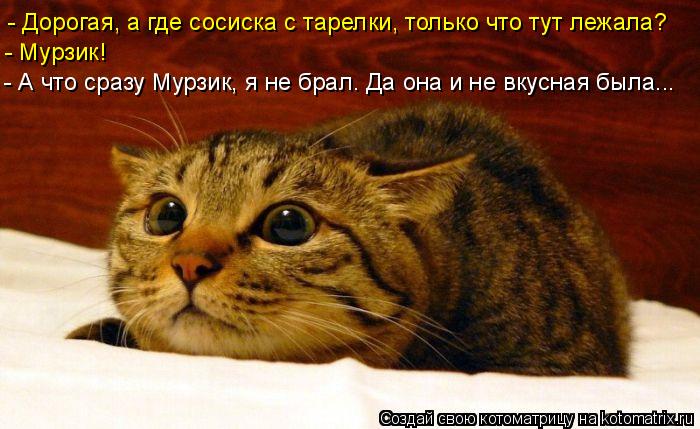 Котоматрица: - Дорогая, а где сосиска с тарелки, только что тут лежала? - Мурзик! - А что сразу Мурзик, я не брал. Да она и не вкусная была...