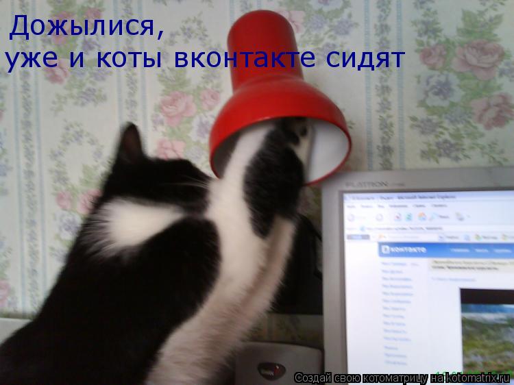 Котоматрица: Дожылися,  уже и коты вконтакте сидят