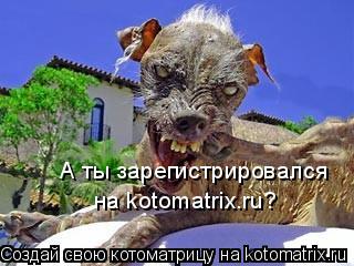Котоматрица: А ты зарегистрировался  на kotomatrix.ru?