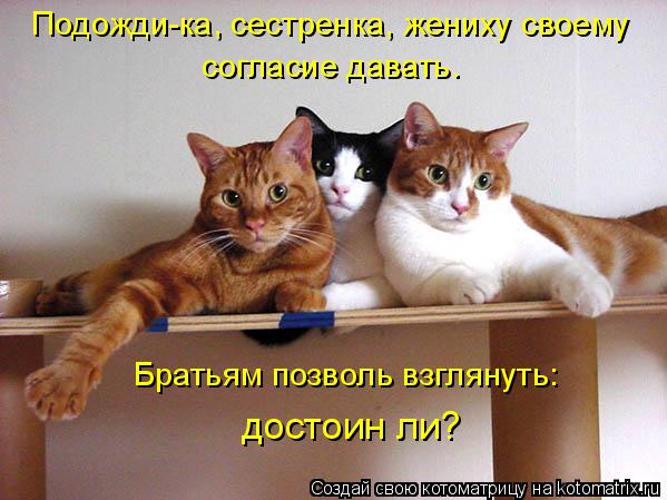 согласие давать. Подожди-ка, сестренка, жениху своему достоин ли? Братьям позволь взглянуть:... Котоматрица: согласие давать. Подожди-ка, сестренка, жениху своему достоин ли? Братьям позволь взглянуть: