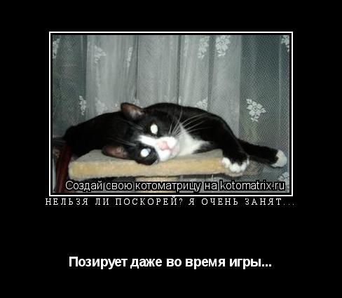 Котоматрица: Нельзя ли поскорей? Я очень занят... Позирует даже во время игры...