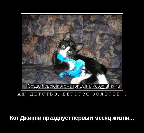 Котоматрица: Ах, детство, детство золотое... Кот Джинни празднует первый месяц жизни...