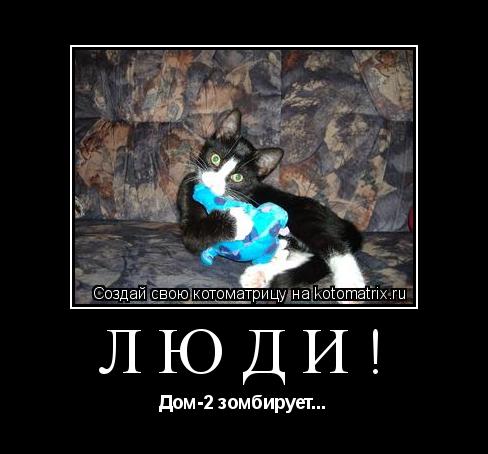 Котоматрица: ЛЮДИ! Дом-2 зомбирует...