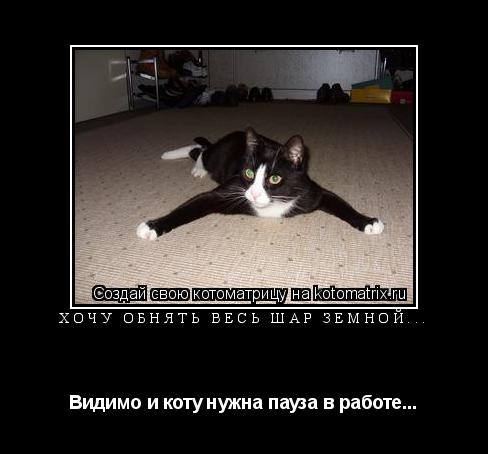 Котоматрица: Хочу обнять весь шар земной... Видимо и коту нужна пауза в работе...