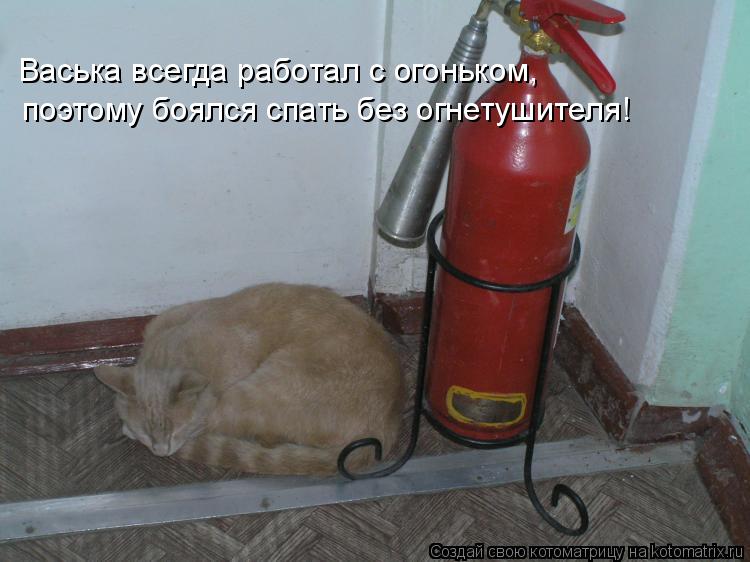 Васька всегда работал с огоньком, поэтому боялся спать без огнетушителя!... Котоматрица: Васька всегда работал с огоньком, поэтому боялся спать без огнетушителя!