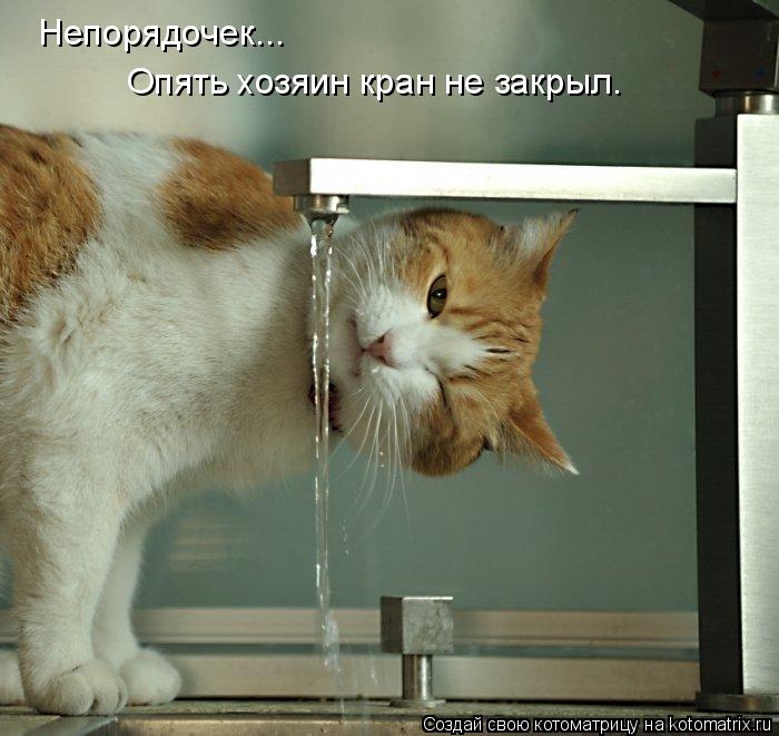 Котоматрица: Непорядочек... Опять хозяин кран не закрыл.