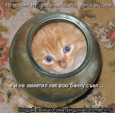 Котоматрица: Ну хозяин! Ну... варенье...было...такое вкусное... я и не заметил как всю банку съел...