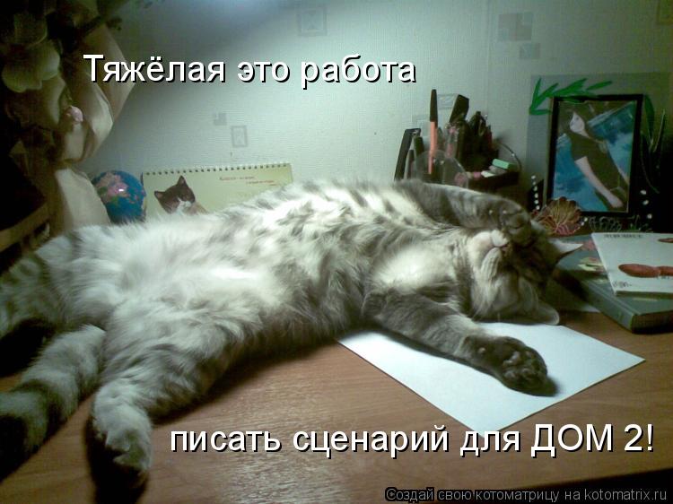 Котоматрица: Тяжёлая это работа писать сценарий для ДОМ 2!