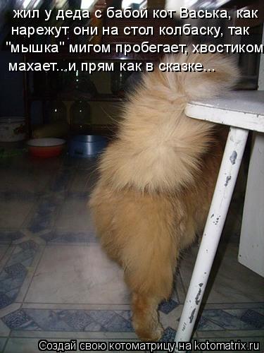 Котоматрица: жил у деда с бабой кот Васька, как нарежут они на стол колбаску, так "мышка" мигом пробегает, хвостиком  махает...и прям как в сказке...